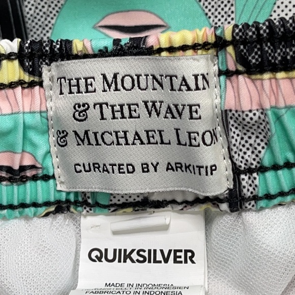 Quicksilver The Mountain & The Wave swimwe… - Picture 9 of 12